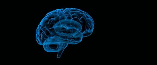 البلوغ يُحفز تغيرات بالدماغ لدى المصابين بحالة جينية مرتبطة بالتوحد